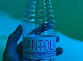 Sauvage
