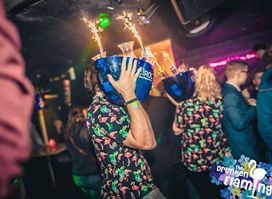The Drunken Flamingo