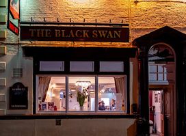 The Black Swan