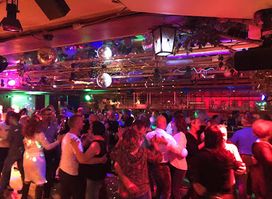 Tanzbar Nachtigall
