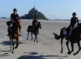 Cheval Plaisir Mont Saint Michel