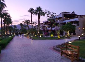 Nelson Restaurant and Bar