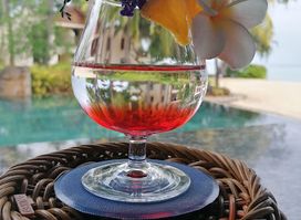HIBISCUS BAR