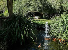 Crocodile Farm Otjiwarongo