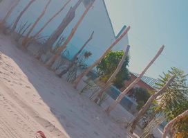 New Millennium,Choto