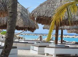 Mambo beach