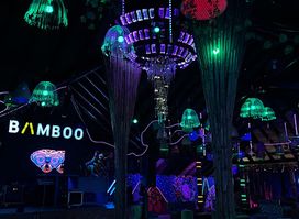 Bamboo