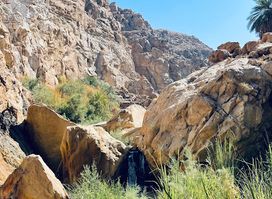 Wadi Attwan