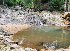 TARZAN BAR