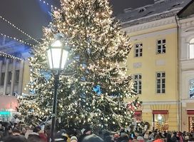 The Cult Estonia