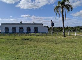 Agrupación Agropecuaria e Industrial de Aiguá