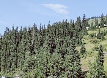 kazakhstan/kolsai-lakes-national-park/nightclub/kolsai-travel