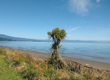 new-zealand/abel-tasman-national-park/nightclub/pohara-bowling-club