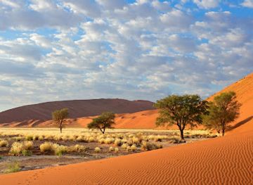 namibia/namib-naukluft-national-park/nightclub/namib-naukluft-national-park