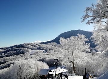 japan/zao-onsen/nightclub/zao-onsen-ski-resort-central-run