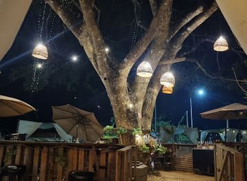 belize/san-ignacio/nightclub/booze-branches