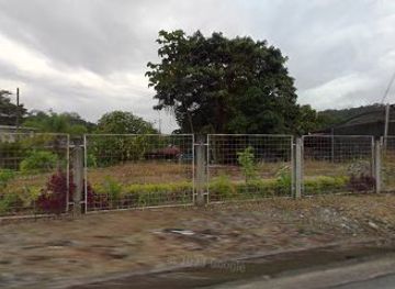 ecuador/napo-region/nightclub/the-jungle-discotec