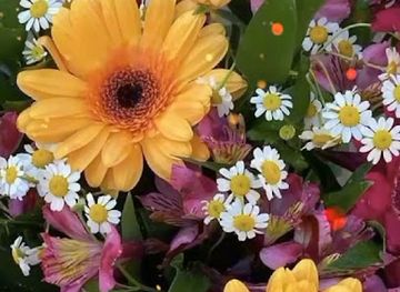 tajikistan/dushanbe/shah-mansur/nightclub/diskoteka-80kh