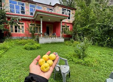 pakistan/baltistan/nightclub/wazeer-one-hotel-guest-house-shigar