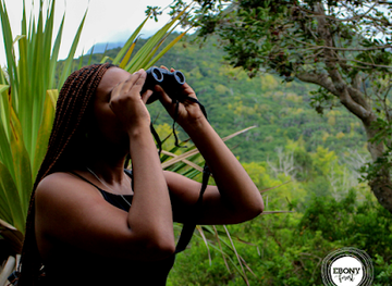 mauritius/chamarel-coloured-earth/nightclub/ebony-forest-reserve-chamarel