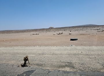 djibouti/grand-bara-desert/nightclub/grand-bara