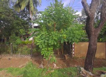 sri-lanka/polonnaruwa-district/nightclub/restaurant-bar