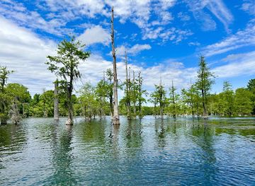 florida/florida-caverns-state-park/nightclub/cave-adventurers-inc