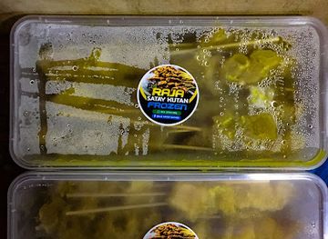 malaysia/kelantan/nightclub/peyek-bonda-kutan-tengah