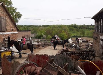 serbia/fruska-gora-national-park/nightclub/salas-kod-dragceta