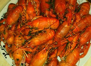 moldova/chisinau/botanica/nightclub/stollizza