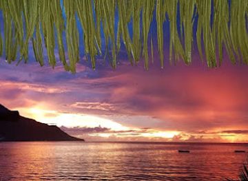 Beach Shak Seychelles