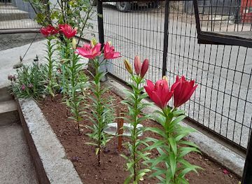 chile/araucania-region/nightclub/the-ladys-cerrado-temporalmente