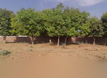 india/pushkar/nightclub/heritage-kutiya-hotel