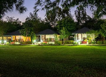 india/ranthambore/nightclub/jungle-cave-resort