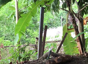 mayotte/grande-terre/nightclub/chiconi