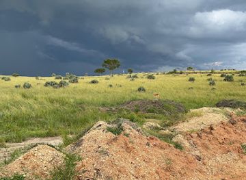 uganda/murchison-falls-national-park/nightclub/murchison-falls-national-park