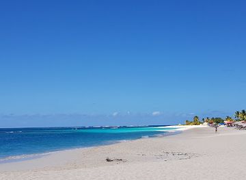 anguilla/shoal-bay/nightclub/tropical-sunset-restaurant-bar