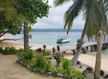 vanuatu/aore-island/nightclub/aore