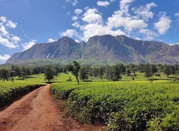 malawi/mulanje-mountain/nightclub/mulanje-mountain