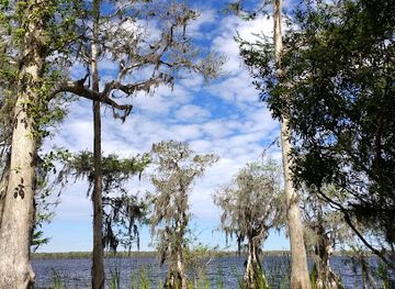 florida/big-cypress-national-preserve/nightclub/the-nature-conservancy-s-disney-wilderness-preserve