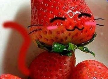 india/nagaland/nightclub/mega-star-youth-club