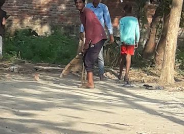 india/bihar/nightclub/mustafa-mar