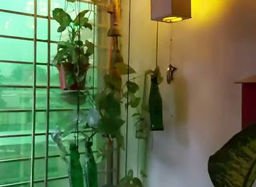 bangladesh/barisal/nightclub/kalo-megha-lauge