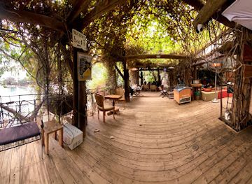 israel/eilat/dolphin-reef/nightclub/dolphin-reef-restaurant