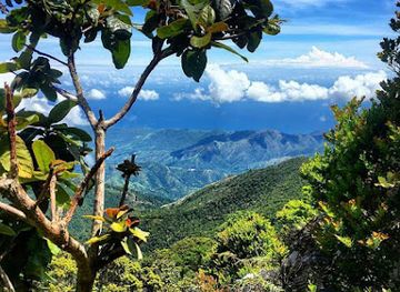 jamaica/cornwall-county/nightclub/cloud-9-night-club-lounge