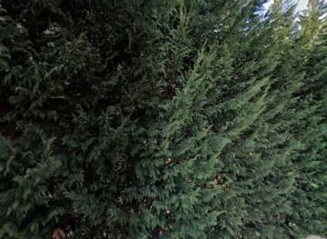 italy/valle-d-aosta/nightclub/novalliod