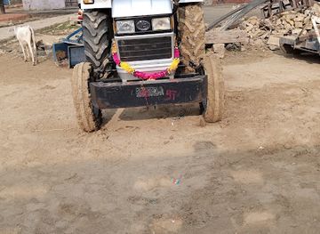 india/ranthambore/nightclub/asha-cassettes-company