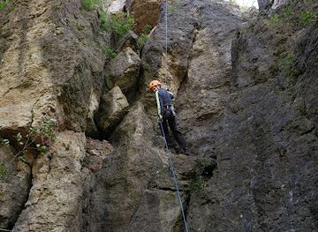 illinois/mississippi-palisades-state-park/nightclub/mississippi-palisades-national-natural-landmark