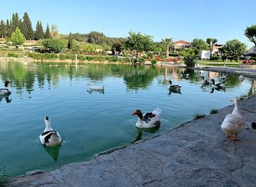 turkiye/pamukkale/nightclub/sapphire-clup