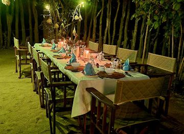 zimbabwe/mana-pools-national-park/nightclub/mhara-river-bush-camp